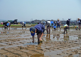 2016052403.JPG