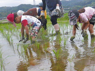 20180611 (11).JPG
