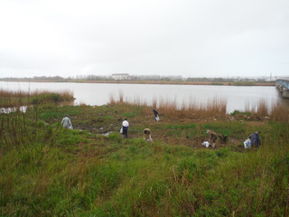 20200421 (2).JPG
