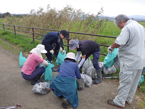 20251011gomihiroi (1).JPG