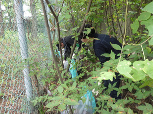 20251011gomihiroi (3).JPG