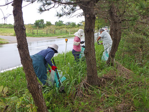 20251011gomihiroi (6).JPG