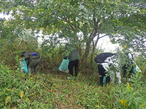 20251019gomihiroi (1).JPG