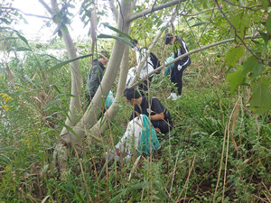 20251019gomihiroi (2).JPG