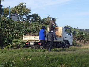 20251116_kli (17b).jpg