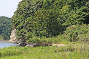 20251206osirase (3).JPG