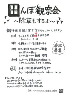 `V2020ώ@菑21.jpg