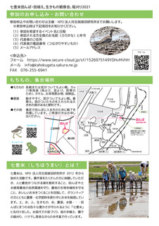 七豊米2021チラシ (2).jpg