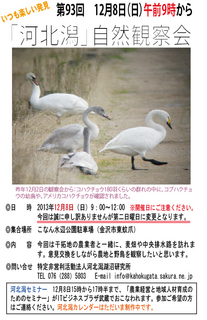 第93回自然観察会.jpg