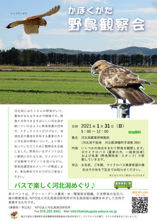 野鳥観察会_高解像度.jpg