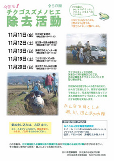 chikugo2011.jpg