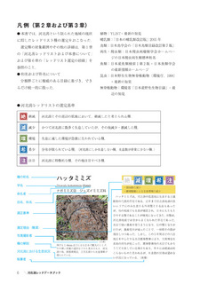 kahokugataRDB_ページ_5.jpg