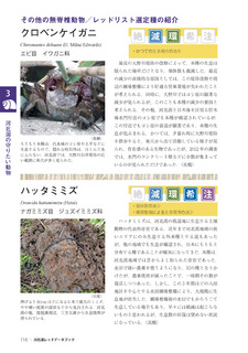 kahokugataRDB_ページ_8.jpg