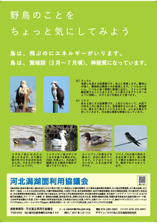 kahokugatarule2017_y[W_2.jpg