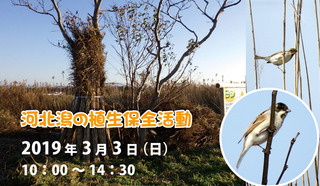 title20190303.jpg