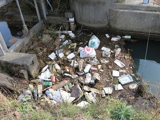 yanase202111_03.jpg