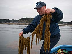 浜弥さん